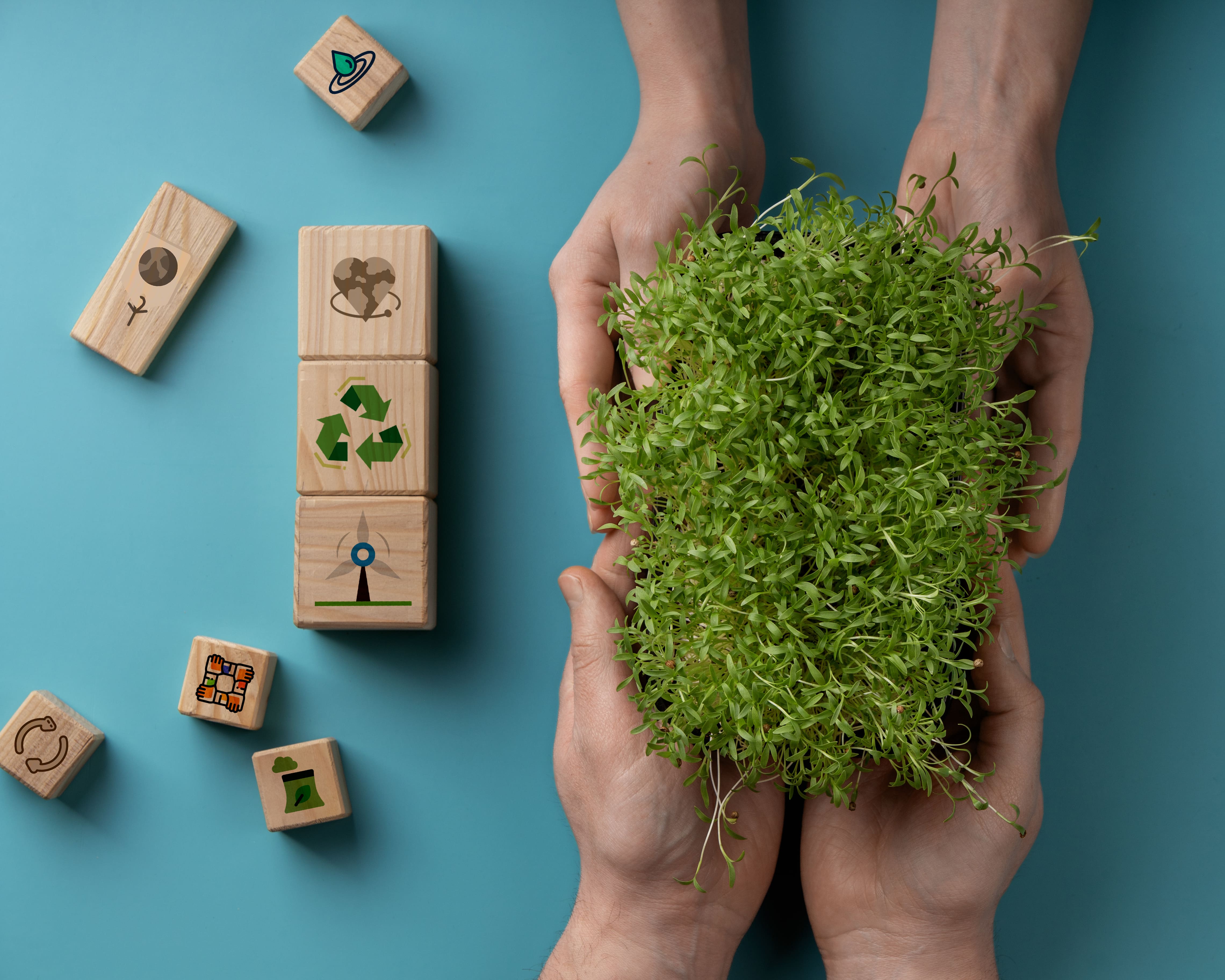 The 10 most sustainable Spanish companies
