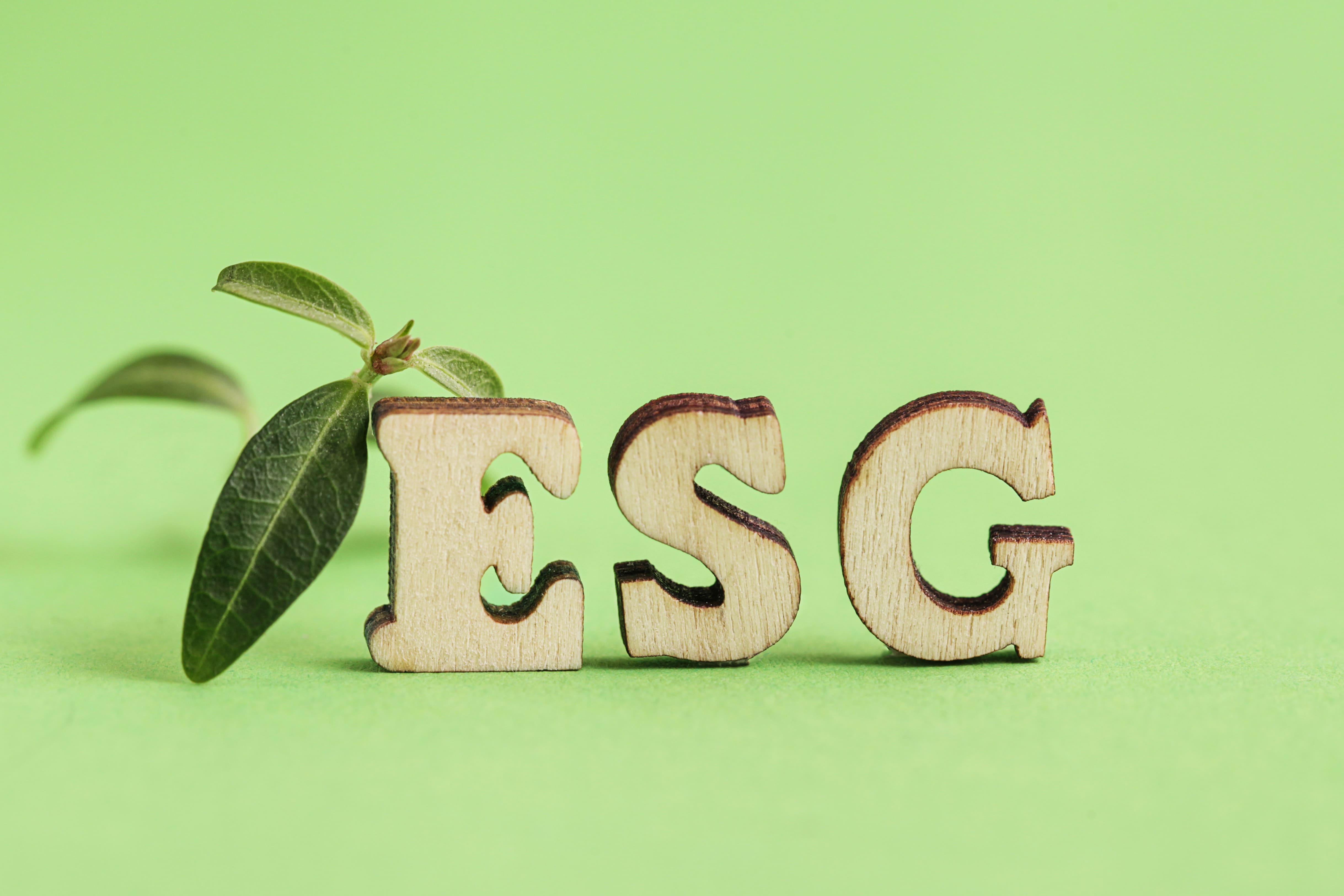 What is ESG certification? Everything you need to know in a nutshell