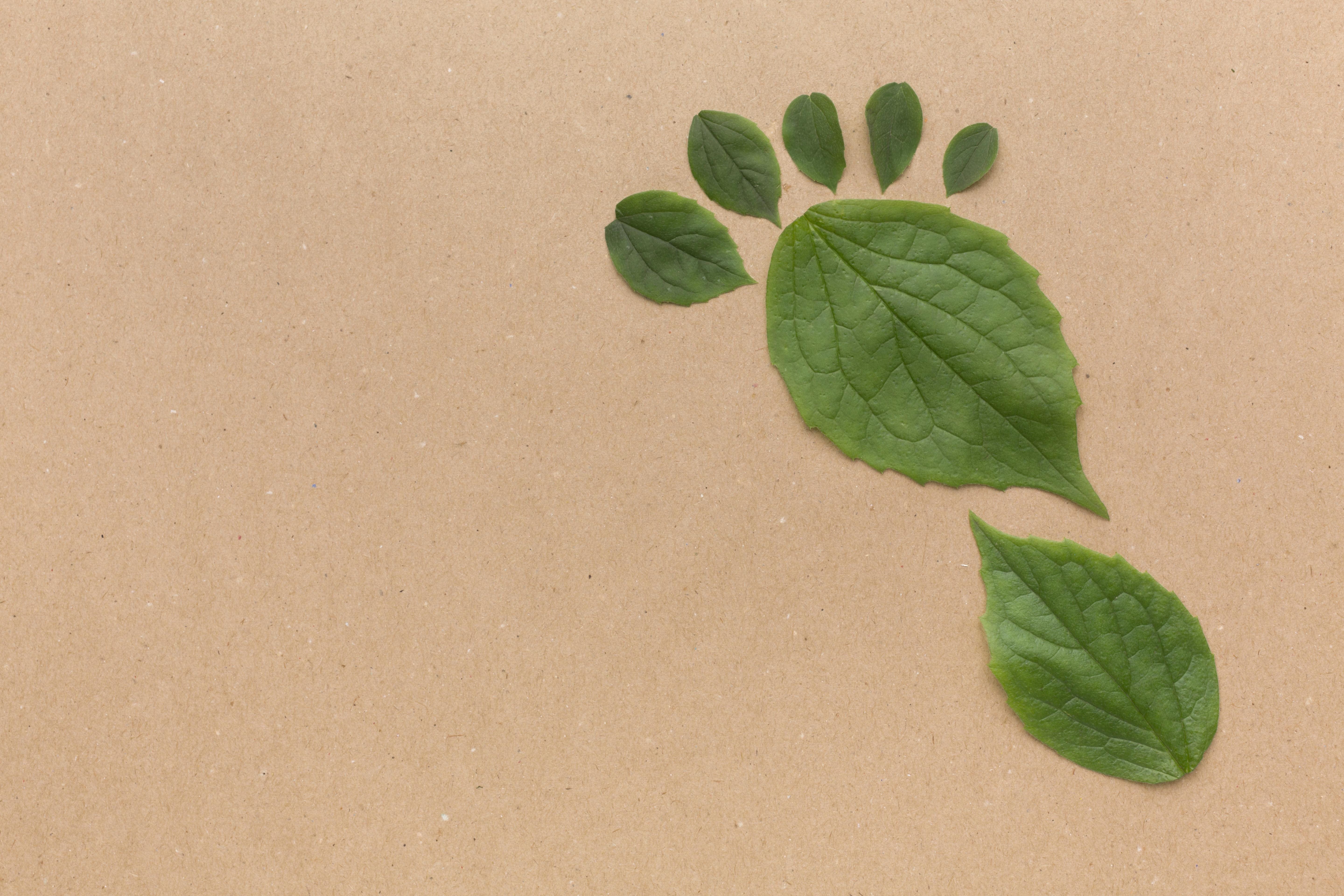 What is ISO 14001, and why does it matter?