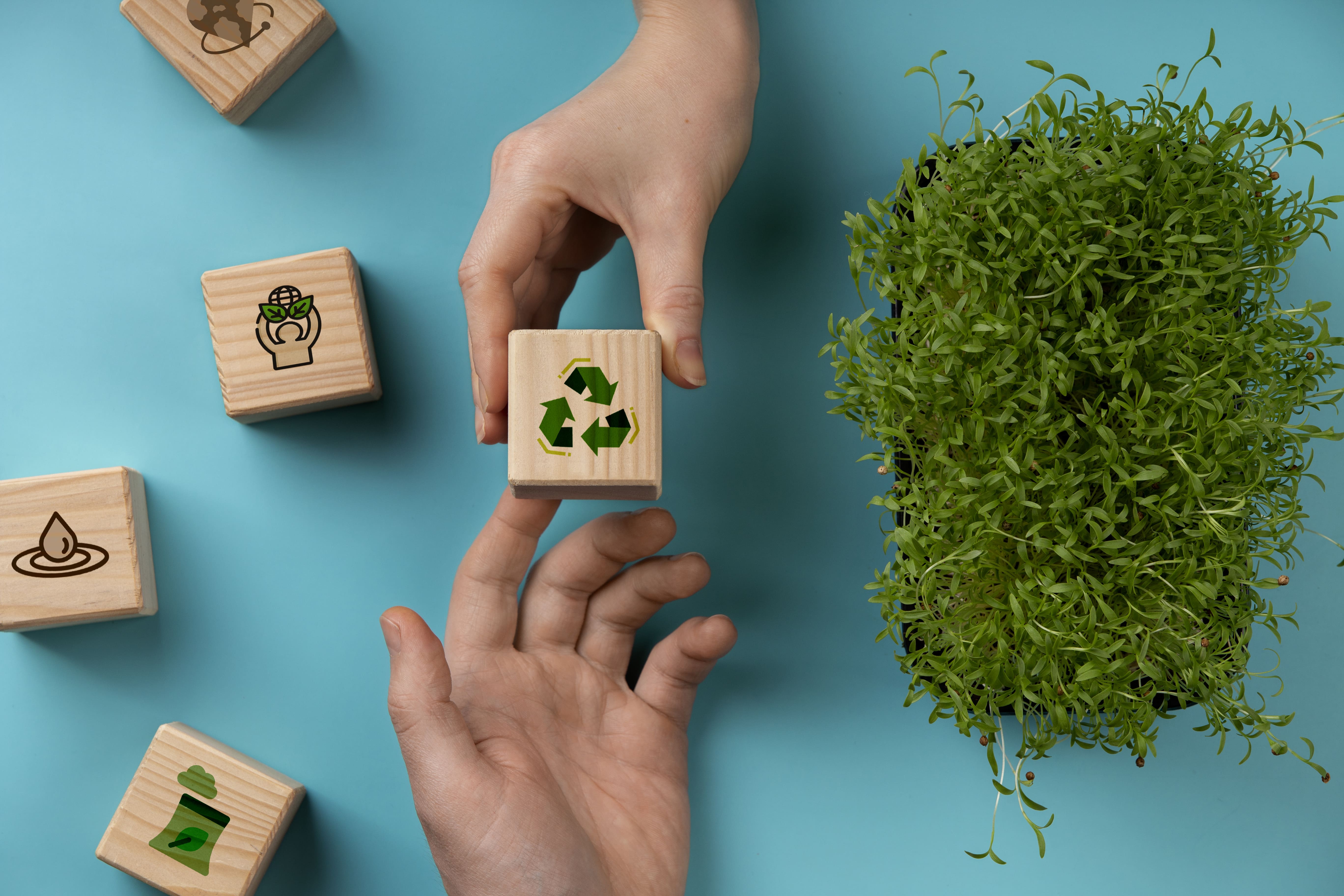 Is your company ready to become a B Corp? Here's how to take the leap
