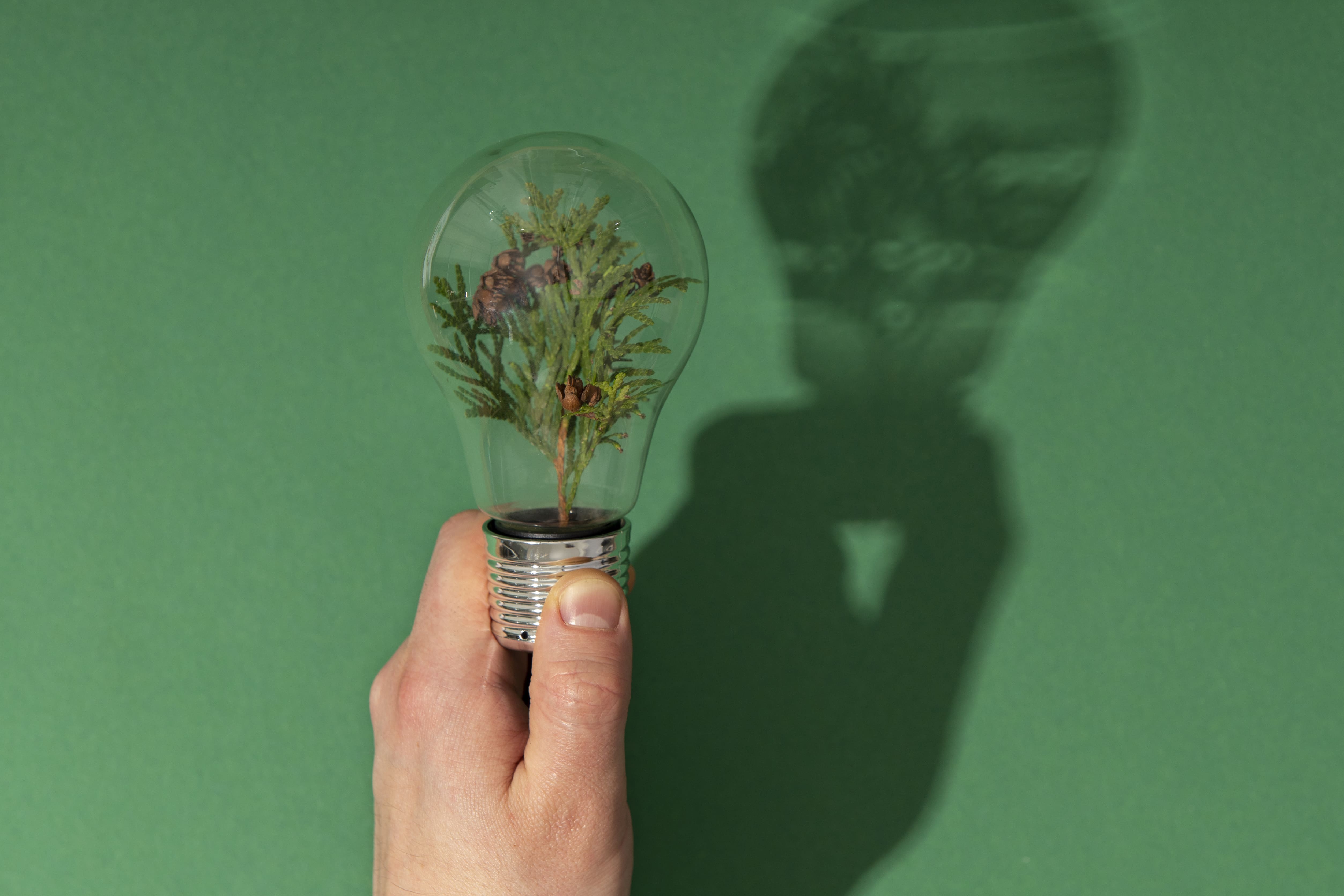 Is Sustainable Innovation the Future of R&D?